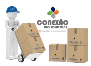 Empresa Conexao